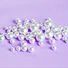 Pearl  Beads